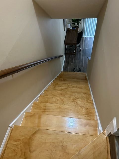 Furnished Finder property 545159_1 photo 20