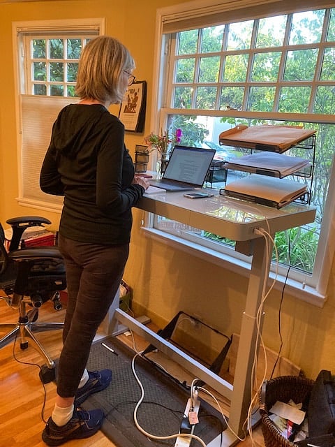 Two desk areas for working from home, including this one that you adjust to your seating or standing preference.  Overlooking trees from side Bay Window.