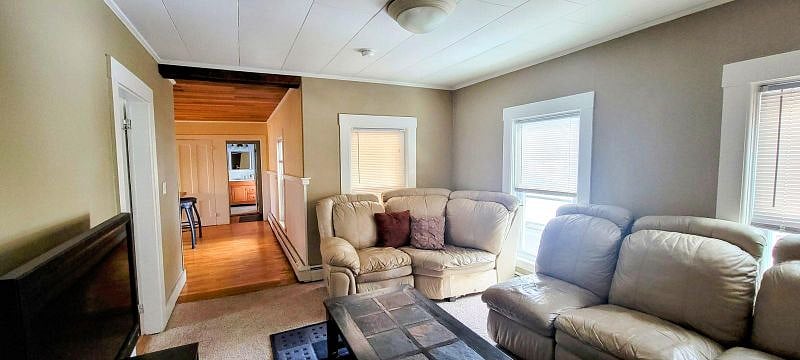 Furnished Finder property 545205_1 photo 7