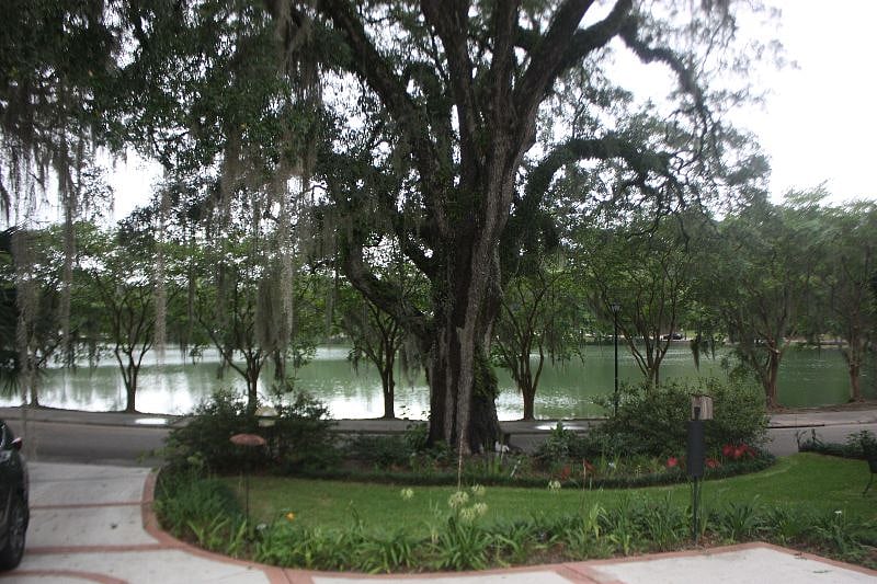 Furnished Finder property 545209_1 photo 19