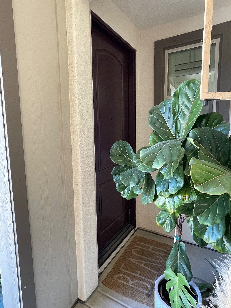 Furnished Finder property 545262_1 photo 4