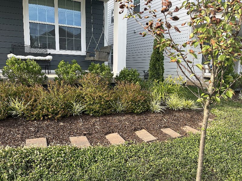 Walkway in front of house