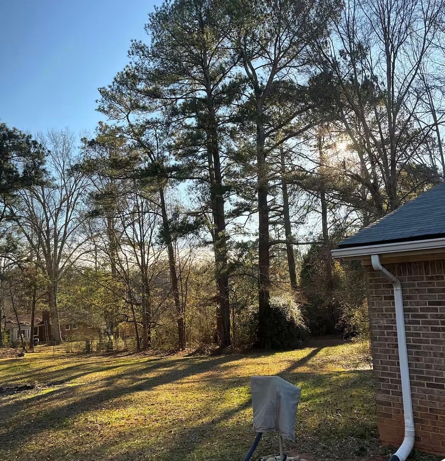 Furnished Finder property 545296_1 photo 9