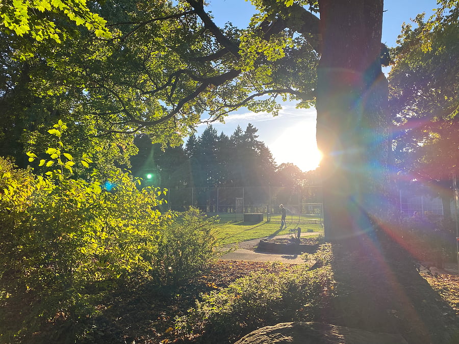 And of course, Sellwood Park! One of the neighborhood gems with playground, river, picnic, pickle ball, pool and hiking trails. 