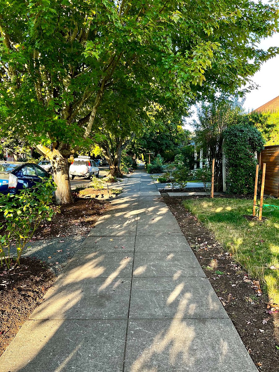 Located in a beautiful neighborhood with old growth trees, and street parking