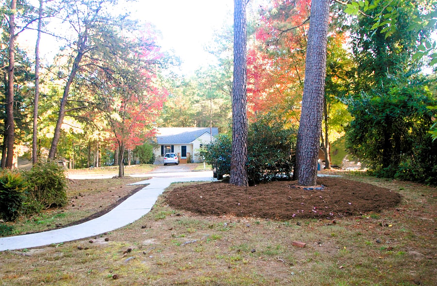 Furnished Finder property 545626_2 photo 13