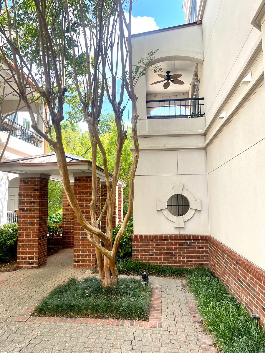 Furnished Finder property 545657_1 photo 8