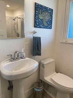 Furnished Finder property 545681_1 photo 51