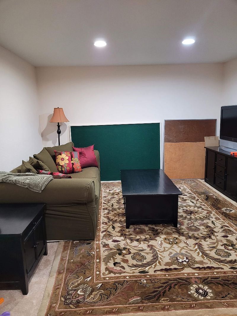 Basement Living Area