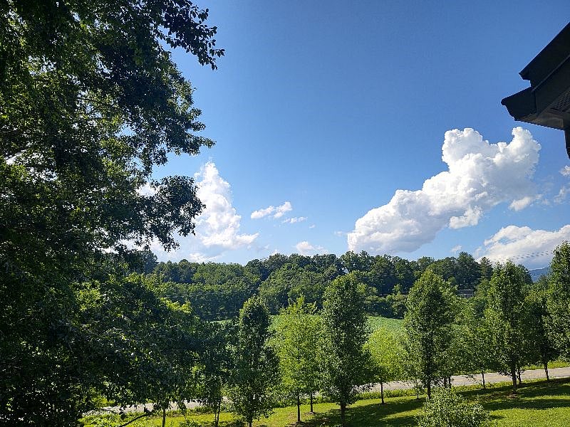 view of the fields across the street from the deck