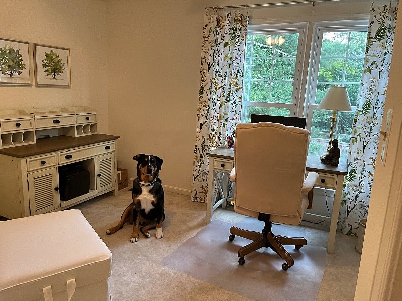 Furnished Finder property 545824_1 photo 6