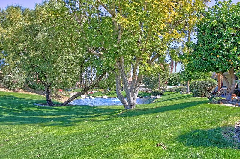 This is the lake view from your living and primary bedrooms. It's gorgeous. 
