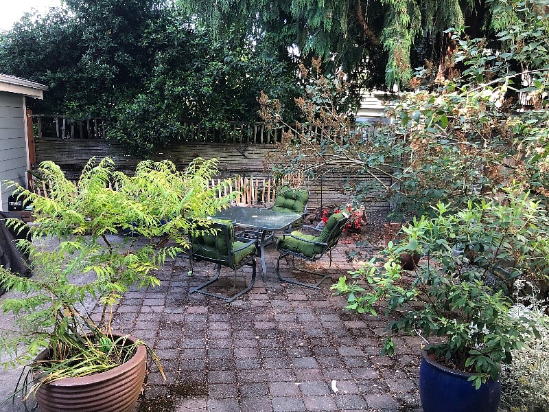 Back yard