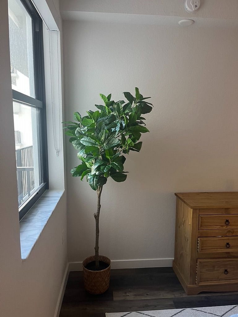 Furnished Finder property 546227_1 photo 15