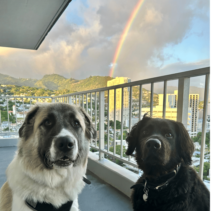 Furnished Finder property 546271_1 photo 3