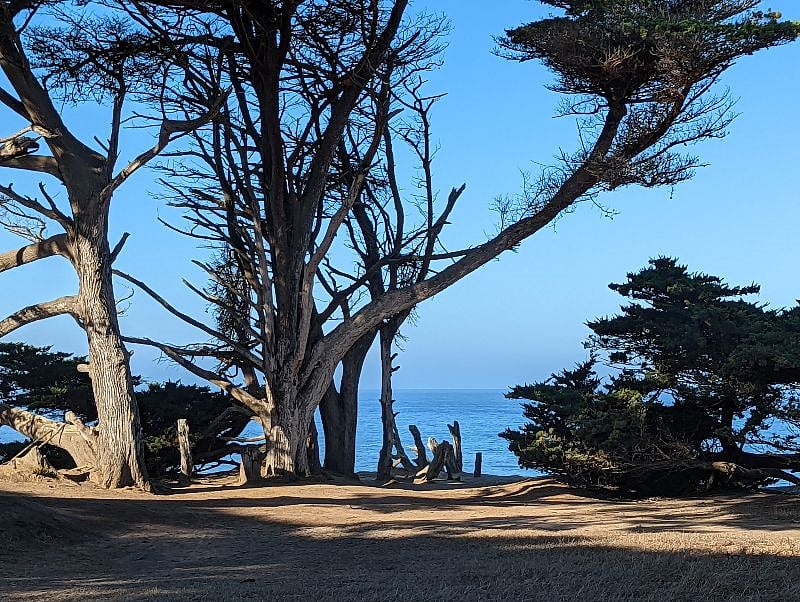 Walk to the coastal trail in minutes, just 3 blocks to Poplar Beach and trail entrance.