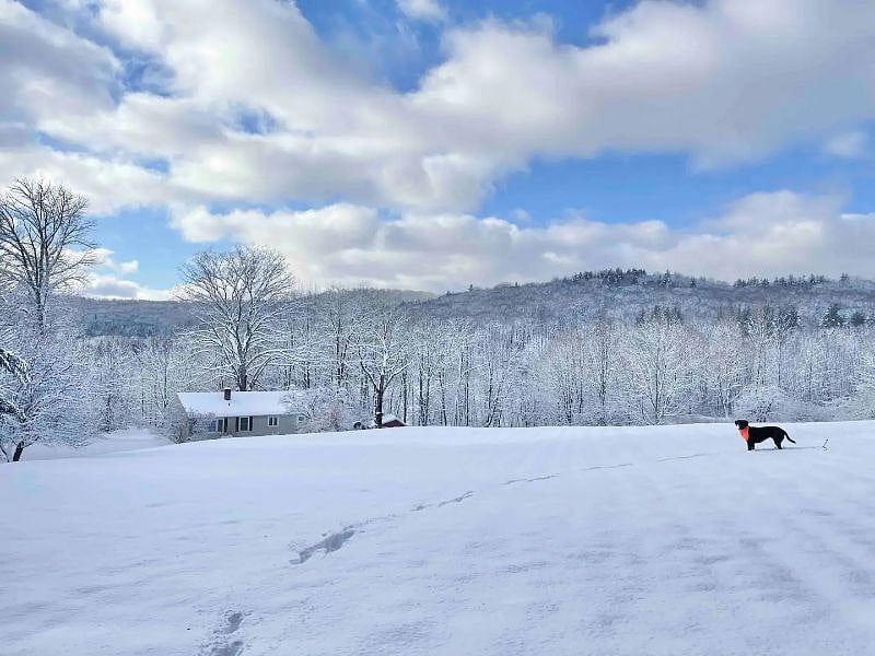Views during the winter