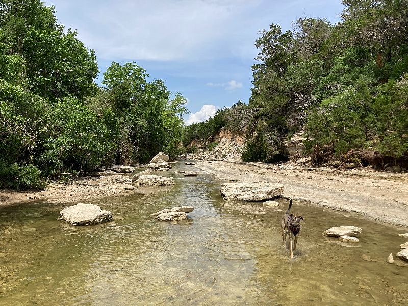 Nearby Walnut Creak Park is a seven minute walk away. It features hiking and biking trails, baseball fields, basketball courts, picnic areas, and a large off leash area for dogs.