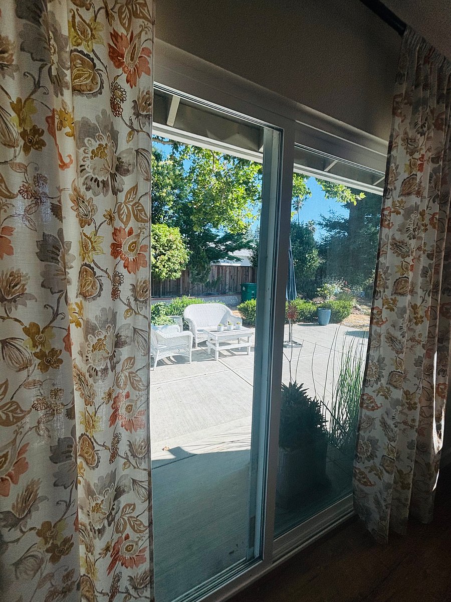 Patio seating area under the shade of a Sycamore tree. 