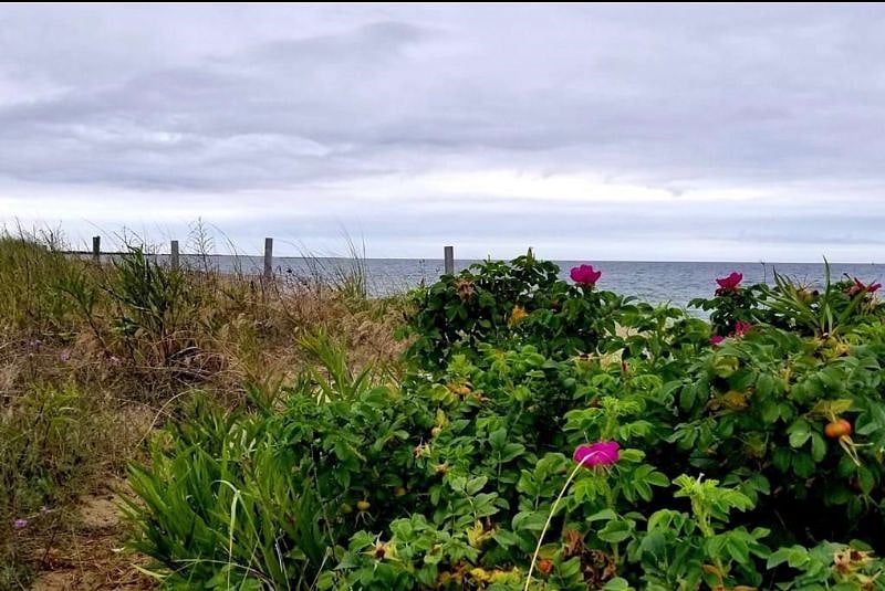1.5 Miles from the beach!