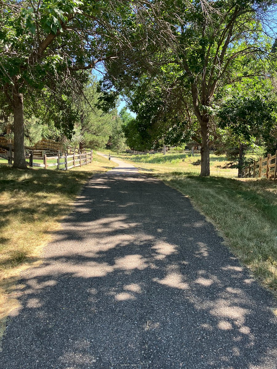 Walking path across the street