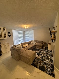 Living area with zebra shades