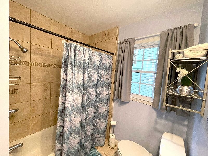 Furnished Finder property 546885_1 photo 14