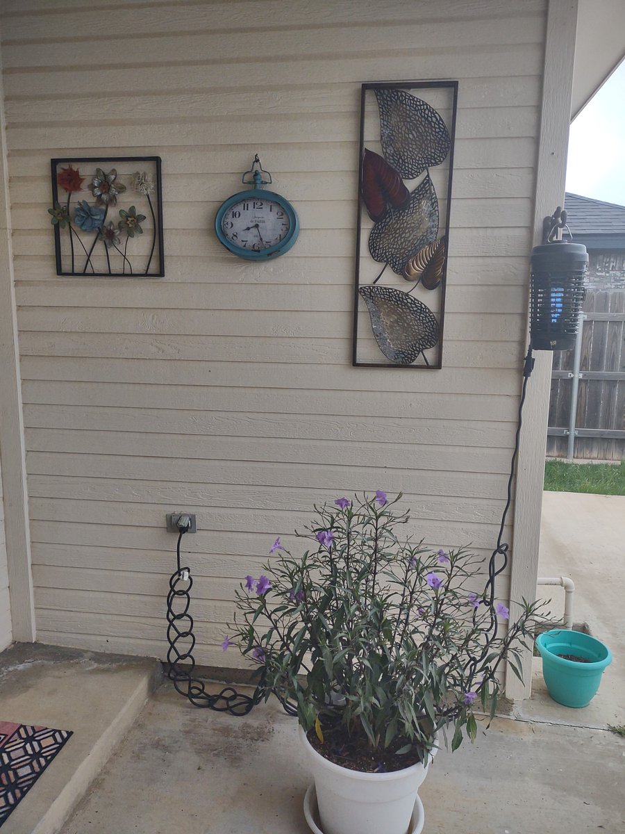 Furnished Finder property 547073_1 photo 14