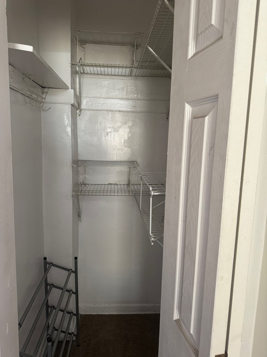 Spacious closet with shelving