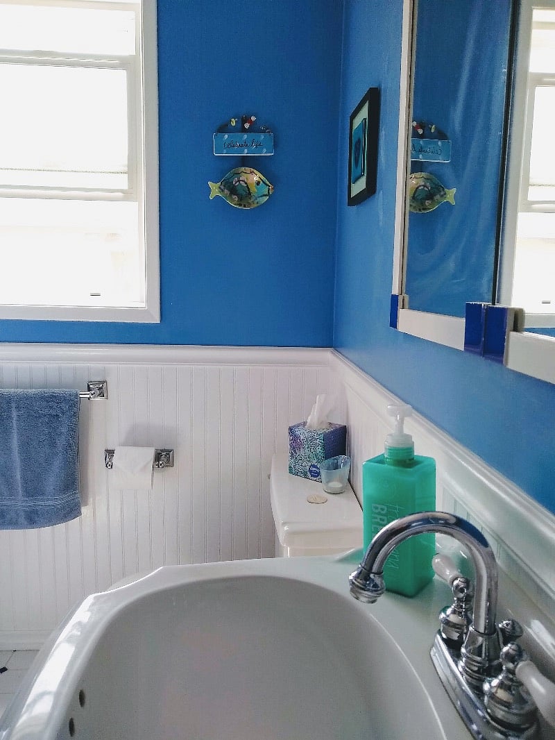 Furnished Finder property 547716_1 photo 29