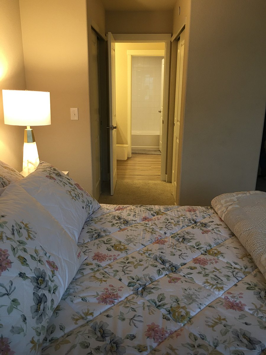 Furnished Finder property 547782_1 photo 12