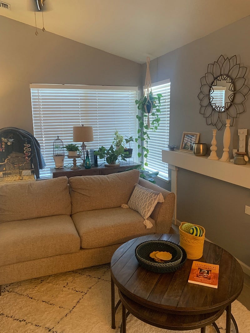 Living Room/Dining Room