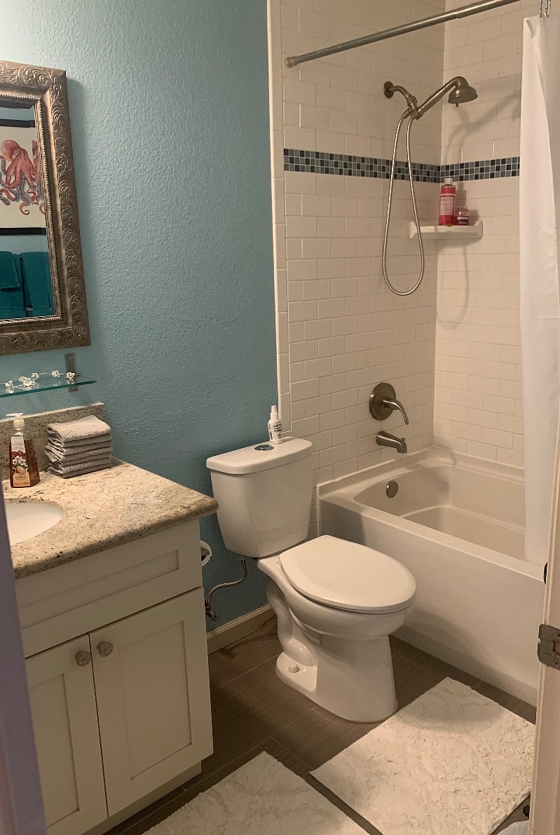 Gray Room, bathroom & tub, shower head. 