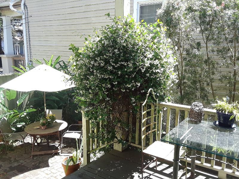 Furnished Finder property 548155_1 photo 6