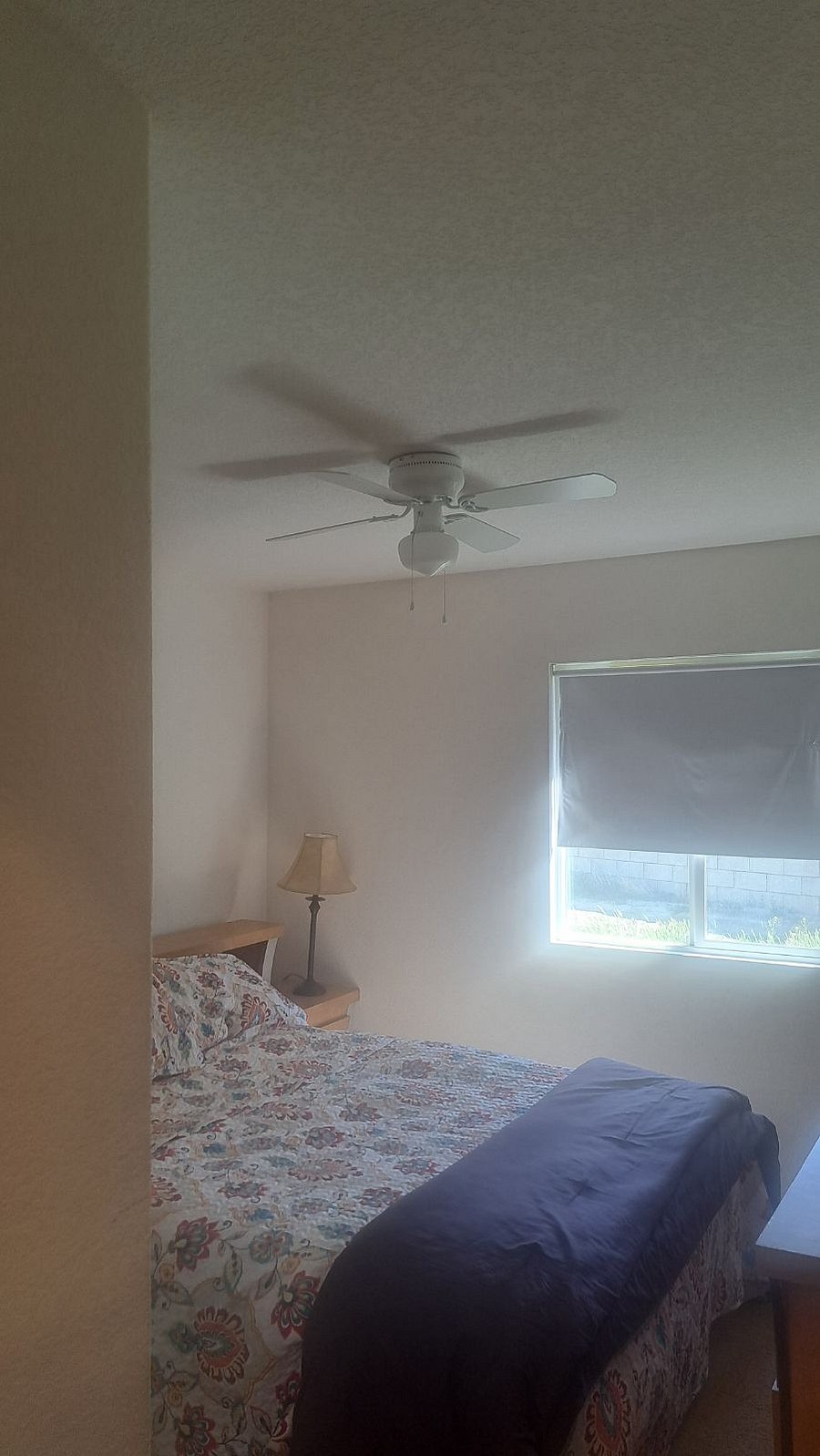 Furnished Finder property 548163_1 photo 11