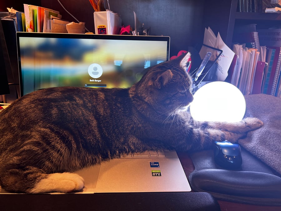 Friendly tabby named "Chuck" ready to help you with your typing.