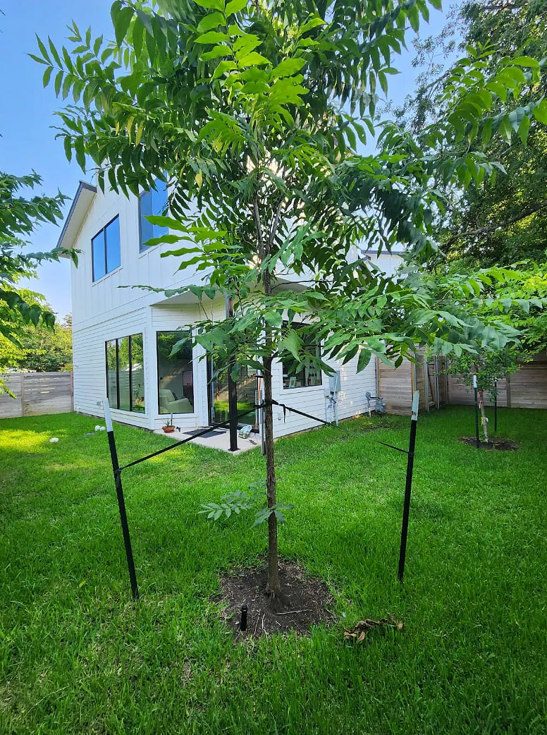 Fenced in, lush backyard surrounded by trees.