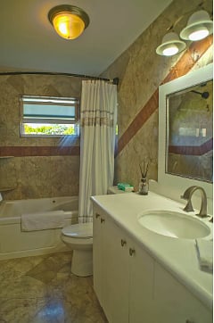 Guest bathroom / bathtub