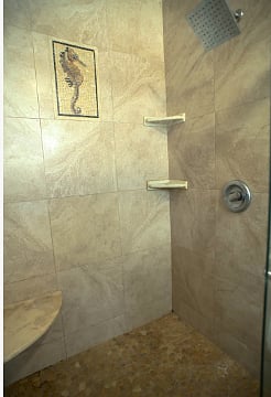Master bath step in shower