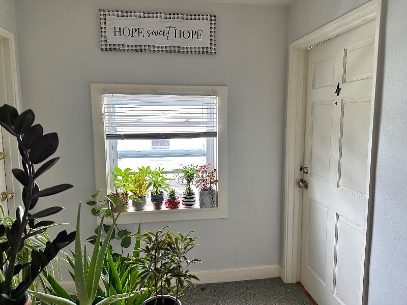 Furnished Finder property 549130_1 photo 12
