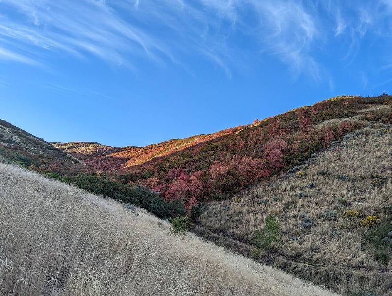 Beautiful, uncrowded hiking a short drive from your stay