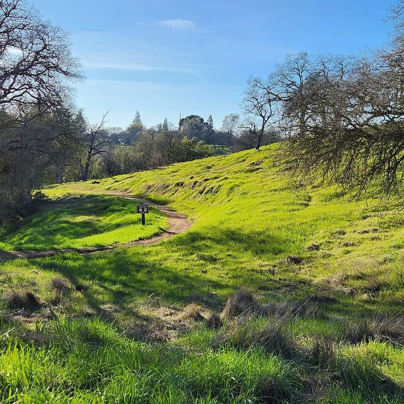 walking trail to Lake Natoma, where I go for peace and serenity