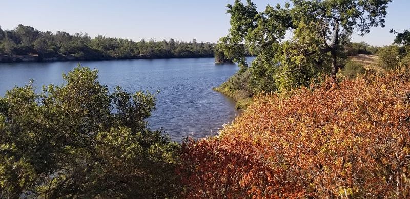 Lake Natoma in the fall