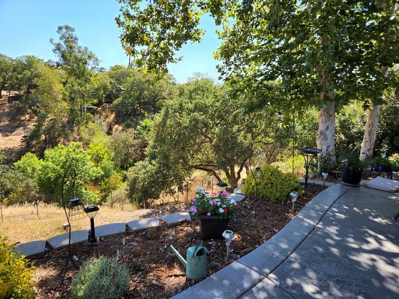 view from stamped concrete patio
