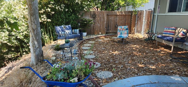 Lots of shade on the side yard