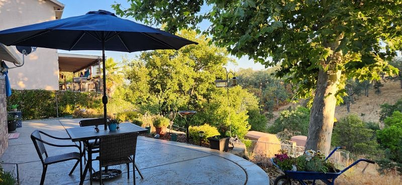 view from the patio