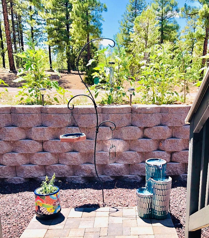 Back yard