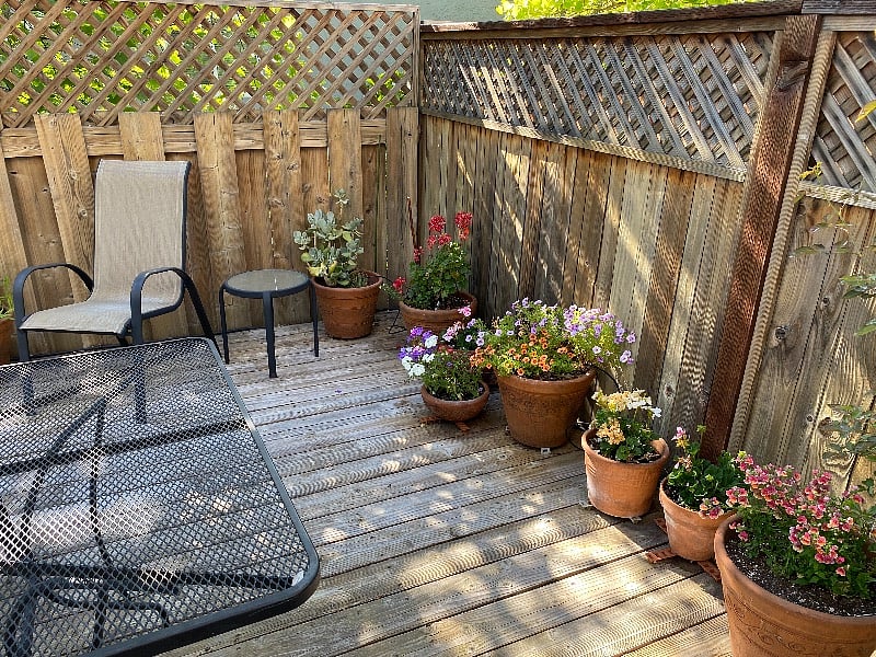Back deck
