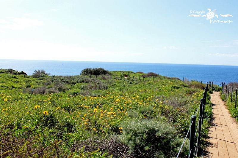 Local walking trail around Dana Point Headlands