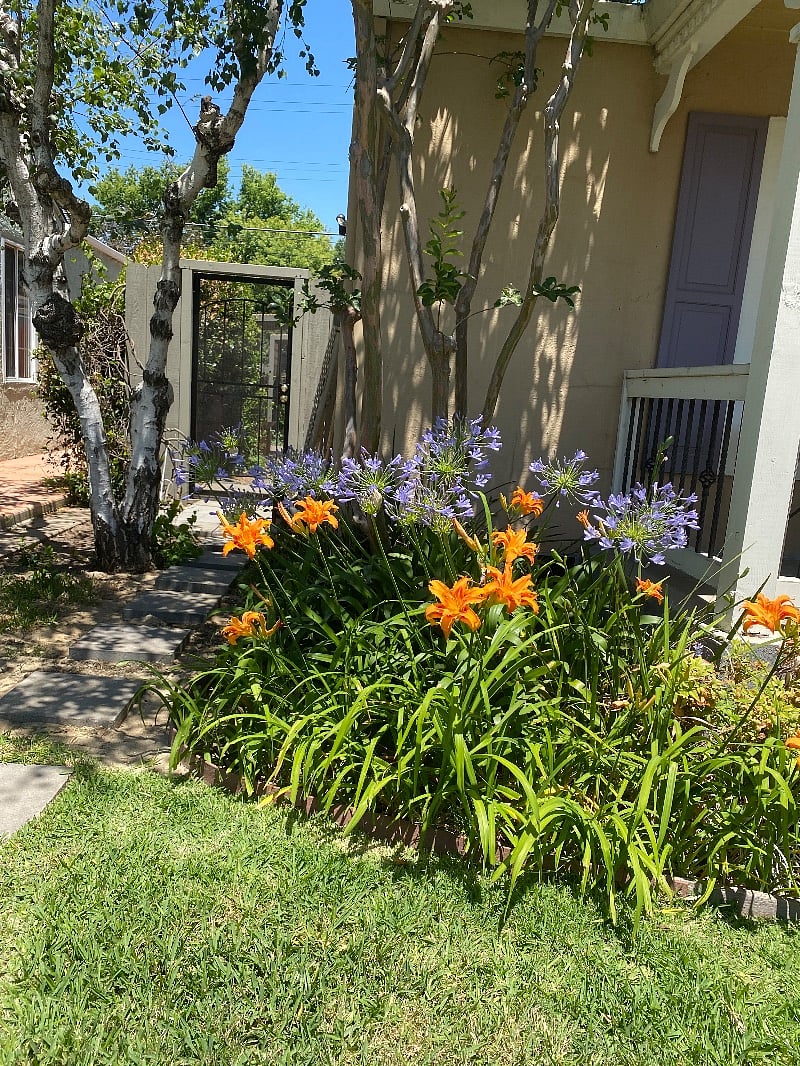 Stepping stone path to private entrance 